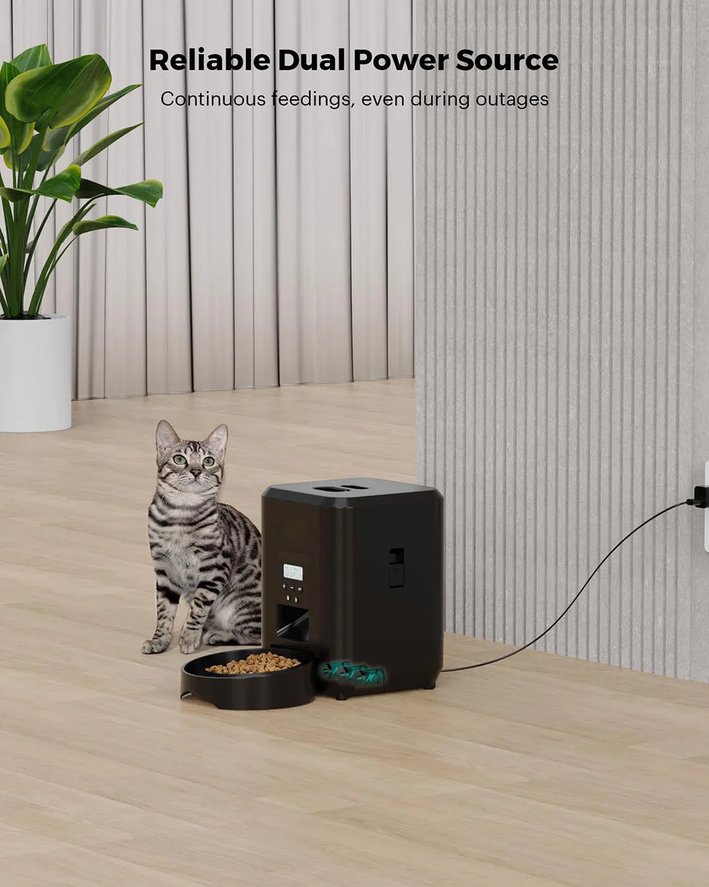 Comedero automático inteligente Wifi